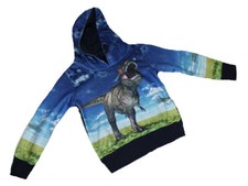 HOODIE KAPUZENPULLOVER DINOSAURIER HOODIE BLAU BUNT  S & C Gr. 92 98 NEU