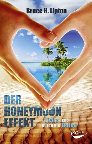 Der honeymoon effekt liebe - :,