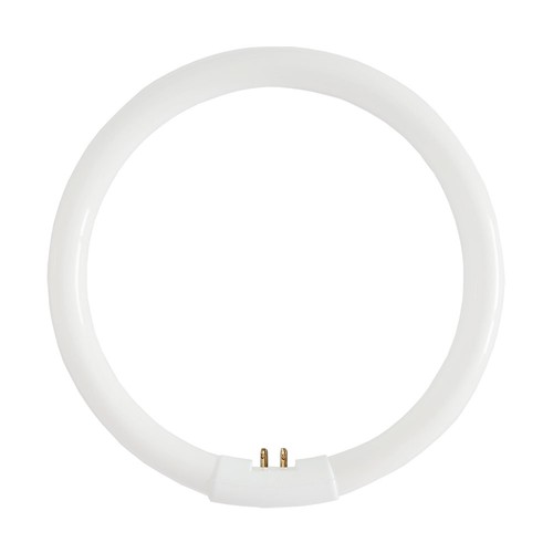 Leuchtstofflampe ring röhre - leuchtstofflampe,