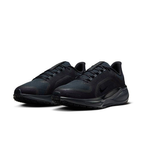 Nike air pegasus 41 gtx - 41,