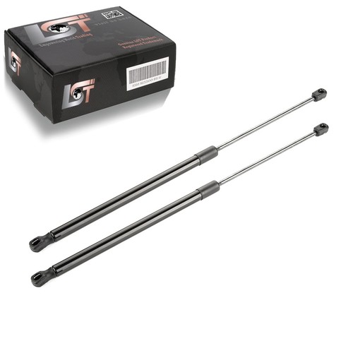 Gasfeder - 2x,