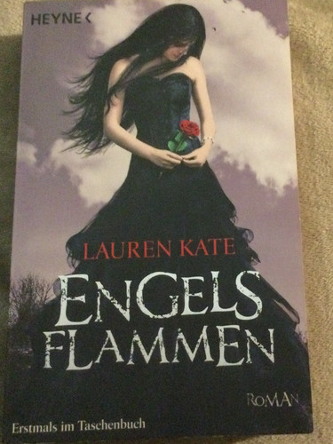 Engelsflammen roman von - (,