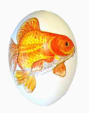 Osterei, handbemalt echtes Ei