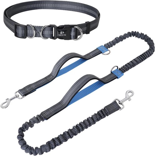 Joggingleine hunde mit - hunde,