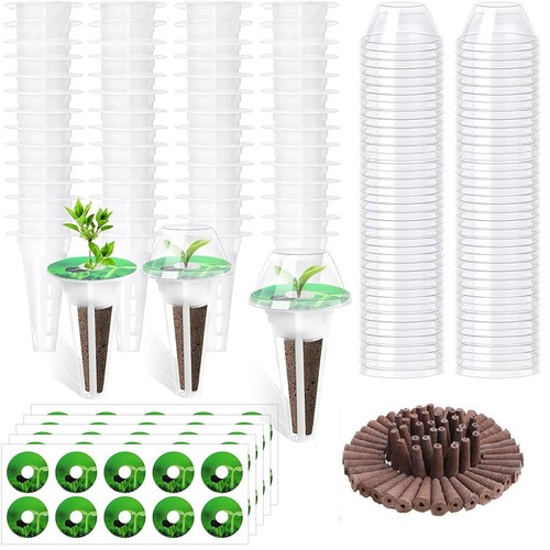 200 teiliges samenkapsel - 200-teiliges, samenkapsel-set