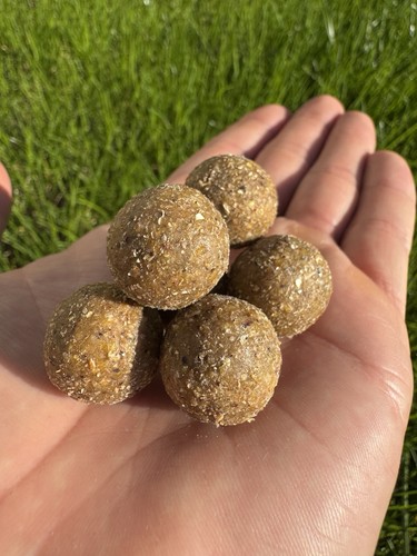 Scopex squid boilies - &,