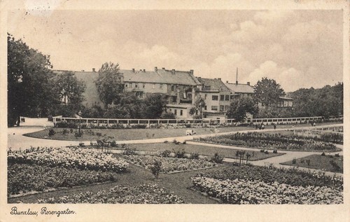 Rosengarten bunzlau - rosengarten, in
