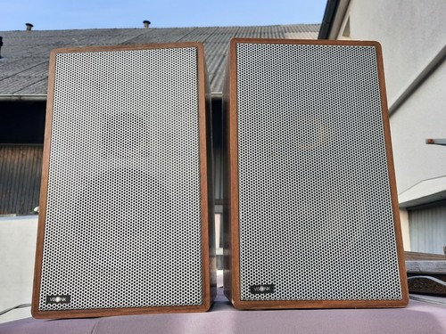 70s hübsche paar visonik - hübsche,