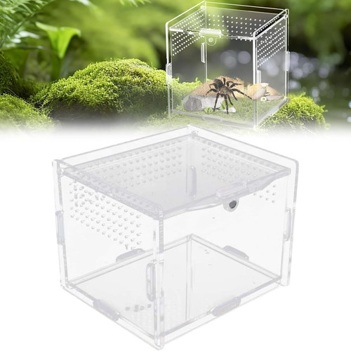 Reptile fütterungsbox - reptile,