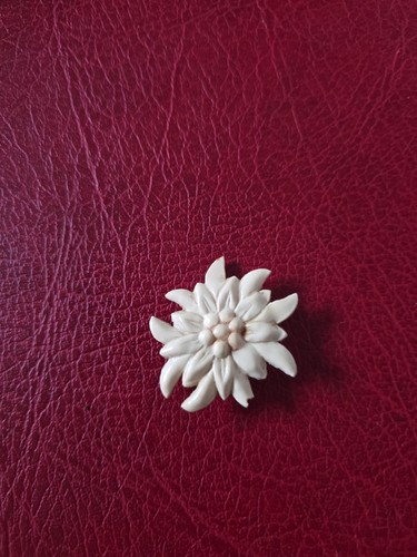 Alte anstecknadel souvenir - ,