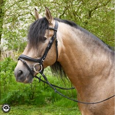 Anatomische Flash Trense von