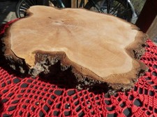 baumscheibe couchtisch