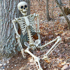 Halloween Skelett Lebensgroß Beweglich Dekoration Lehrmodell Glieder Deko