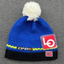 Icepeak Skimütze blau Beanie