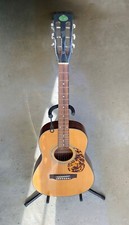 Regal RG-3N Vintage, Acoustic