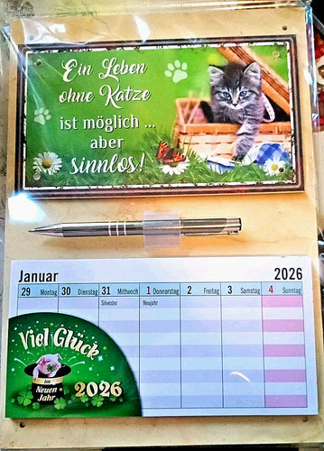 Katzen kalender 2026 set - set, +