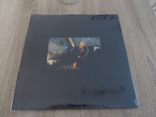 Afghan whigs greg dully - dully, vinyl