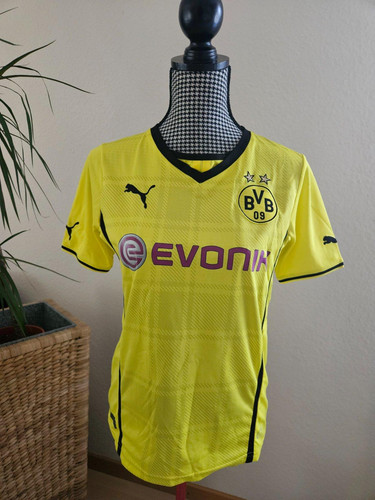 Borussia dortmund 2013 2014 - 2013/14,
