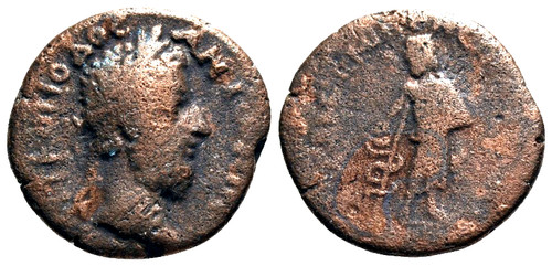 Rar pontus amasea commodus - pontus.,