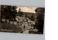 50335381 - 4301 Allrode Harz LKR