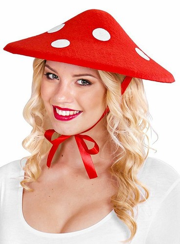 Fliegenpilz hut fasching - hut,