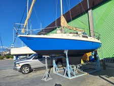 Neptun 26 mit