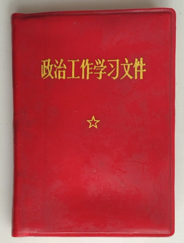 Political work study - political,