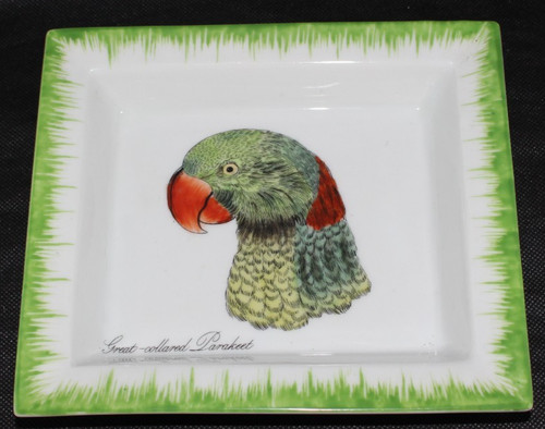 Schale parakeet papagei - papagei, vide