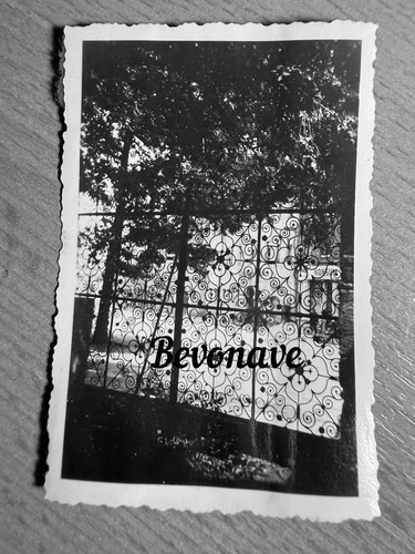 Foto freiberg 1950 - foto,