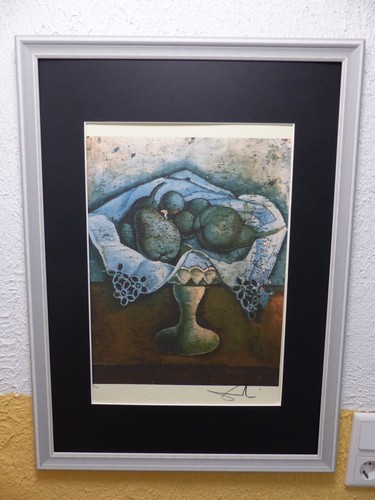 Salvador dali lithographie - salvador,