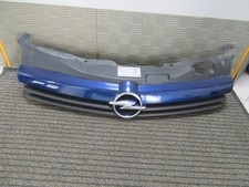 Kühlergrill - Z21B Ultrablau