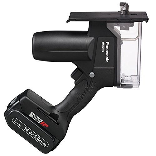 Panasonic