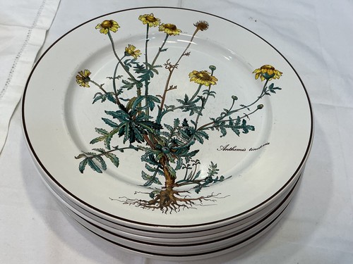 Villeroy boch botanica vitro - villeroy+boch, +botanica+vitro