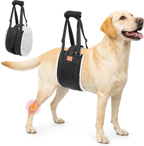 Hunde tragehilfe mit - hunde,