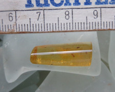 * Kopal, Copal, junger Bernstein mit Inklusen,  poliert/teilpoliert 1,7 g