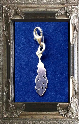 Charm anhänger feder - charm,