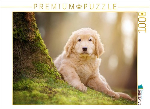 Calvendo puzzle hovawart - hovawart, puppy