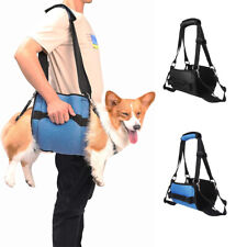 Hundelift Stützgeschirr