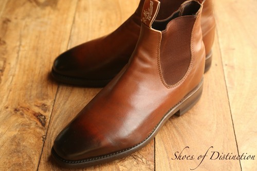 Williams burnished - williams,