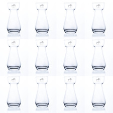 Sandra Rich HYACINTH