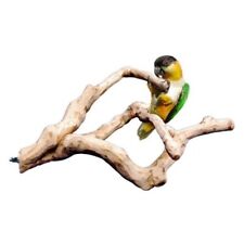 Sky Pets Java Holz mehrere Zweige Papagei Vogelkäfig Barsch mittel/klein