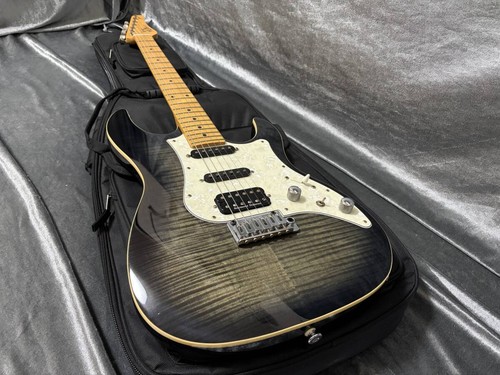 Electric guitar fujigen - guitar,
