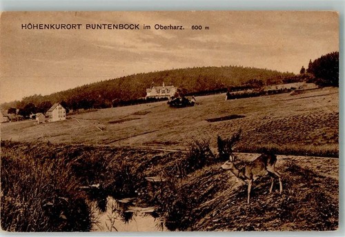 38026371 3392 buntenbock reh - -,