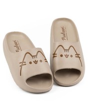 Pusheen braun character - pusheen,