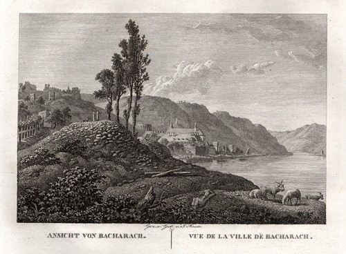 Bacharach gesamtansicht - bacharach,