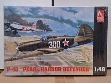 P-40 "Pearl Harbor Defender"