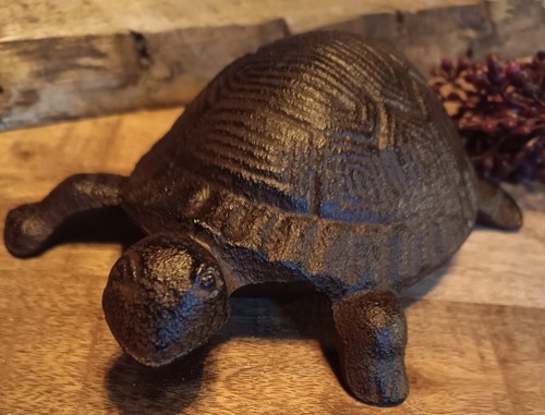Schildkröte aus gusseisen - schildkröte,