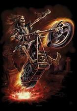 ANNE STOKES AUFKLEBER STICKER