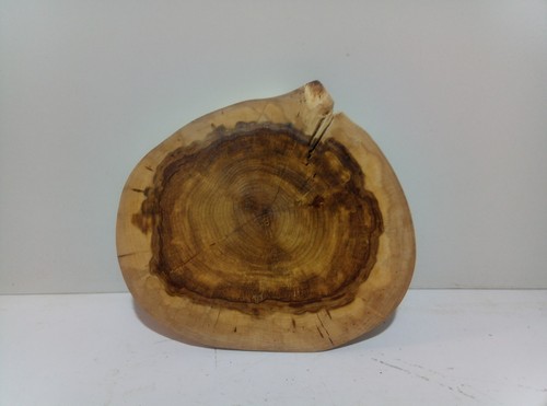 Baumscheibe holzscheibe - baumscheibe,,