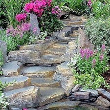 Bachlauf Laubach Set